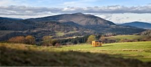 Le printemps, la saison idéale pour franchir le pas de la Tiny House !
